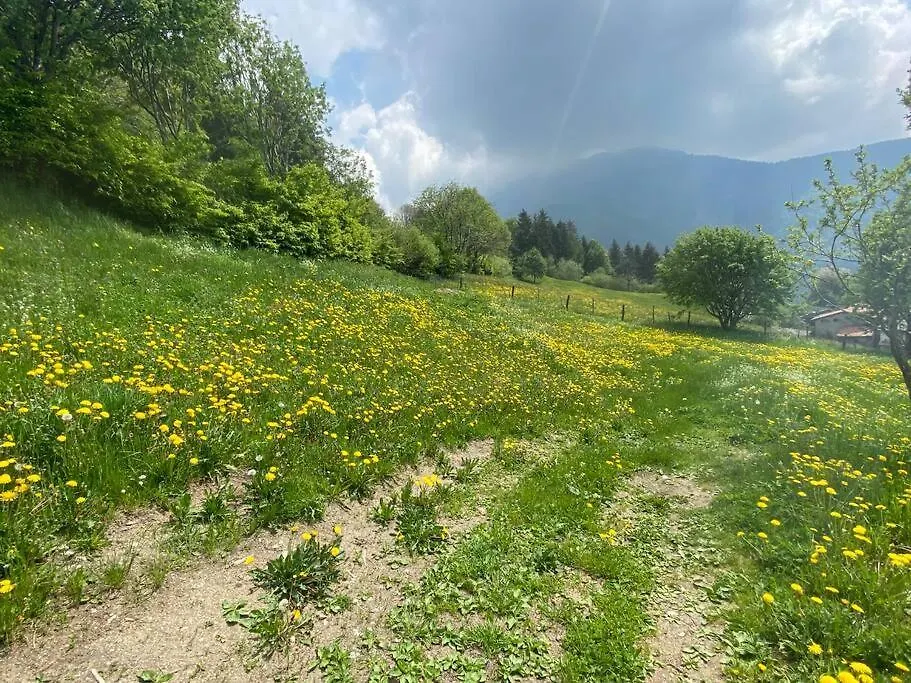 Holiday home Casa Vacanze Il Pettirosso. Pisogne Italy