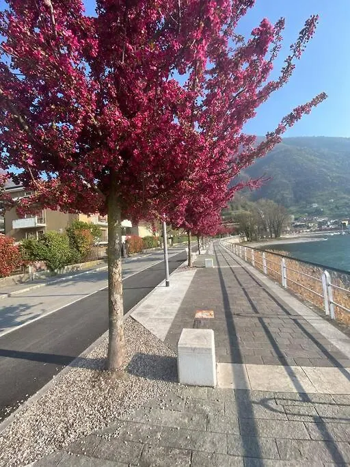 Holiday home Casa Vacanze Il Pettirosso. Pisogne Italy