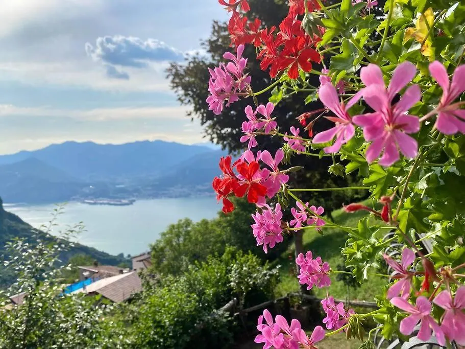 Holiday home Casa Vacanze Il Pettirosso. Pisogne